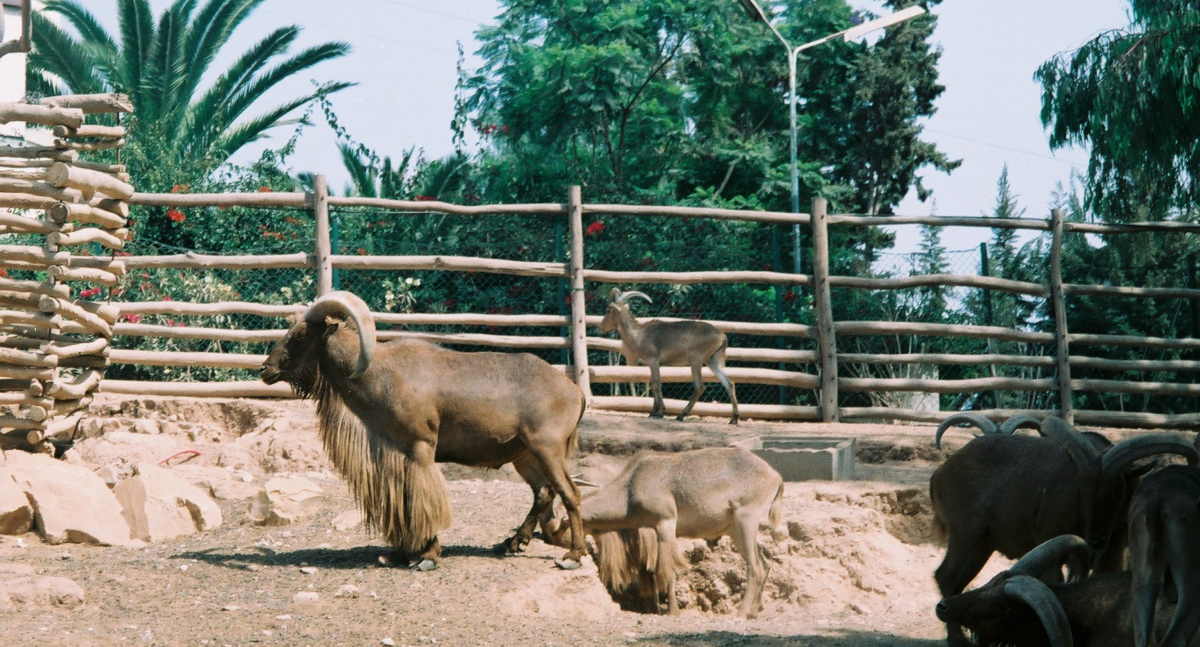 Agadir 06 Agadir