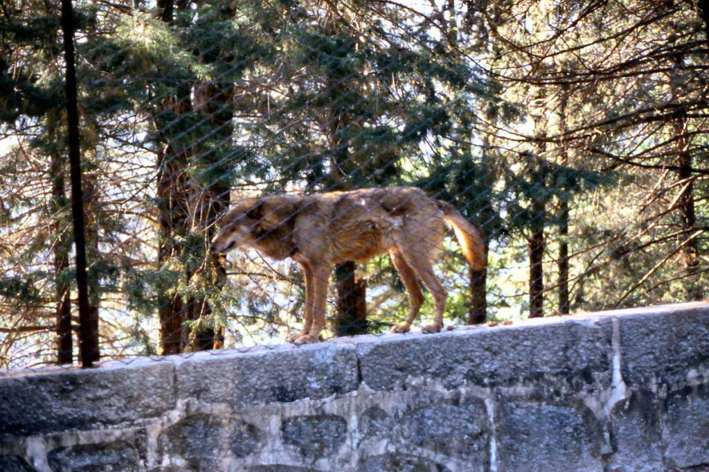 Gerês