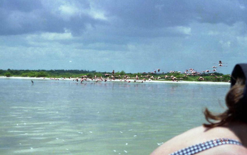 Cancún 29 Rio Lagartos Por Solopes