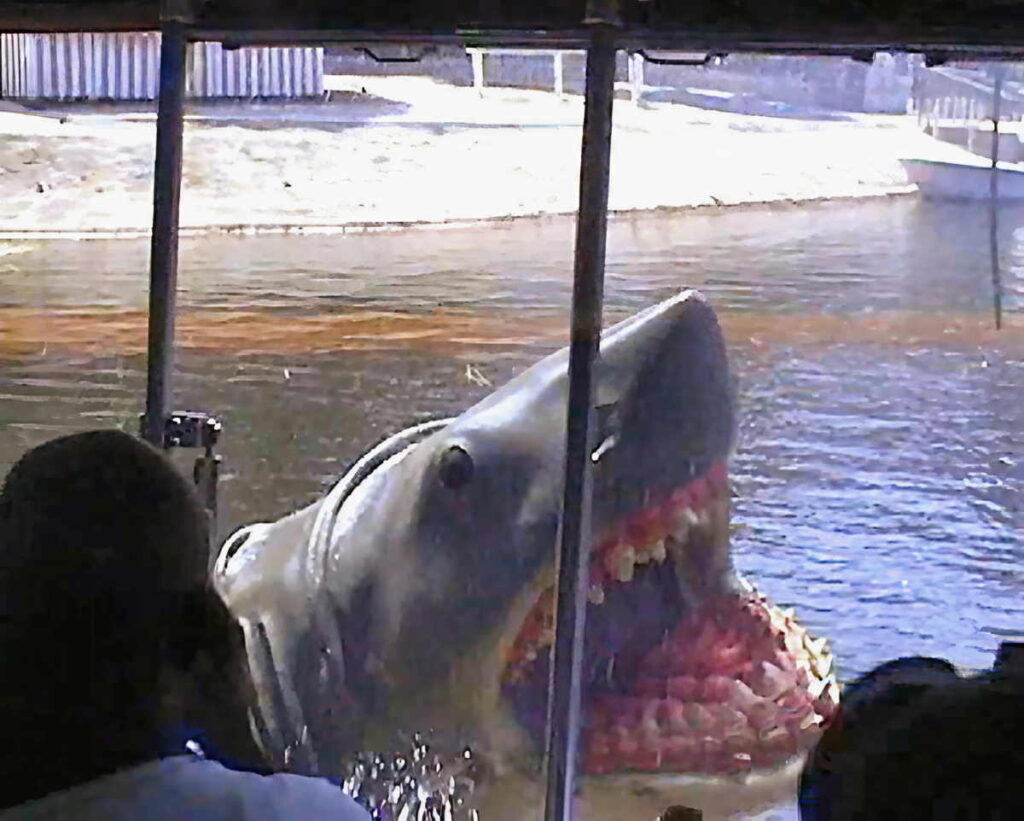 Avisos em Los Angeles - 1 Alerta de Multa 1 Avisos no Universal Studios