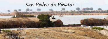 Região de Múrcia 9 San Pedro Del Pinatar