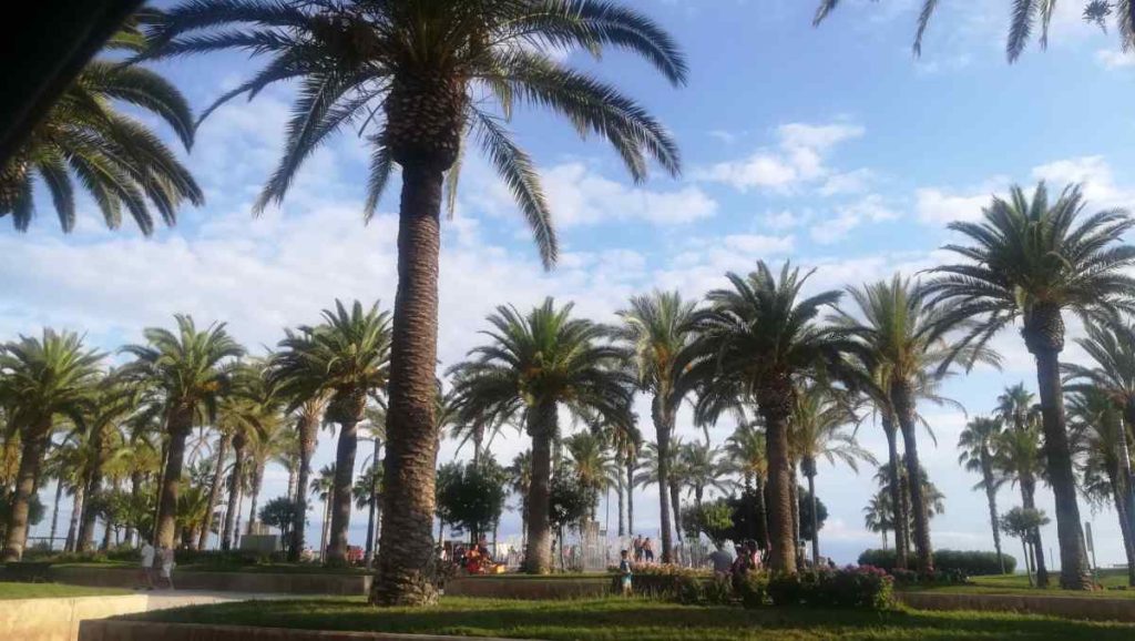 Cambrils 9 Cambrils