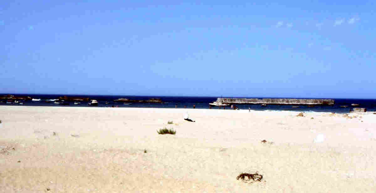 Arzila 3