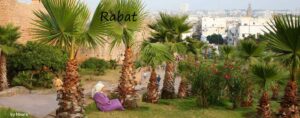 Rabat C1400