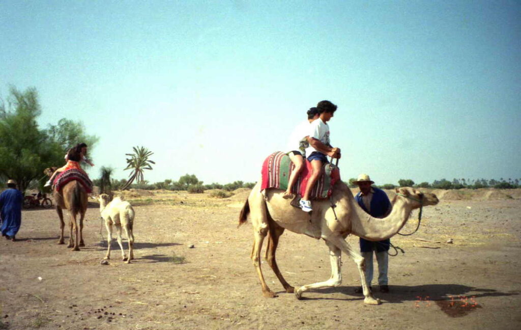Útil em Marrakech por Solopes