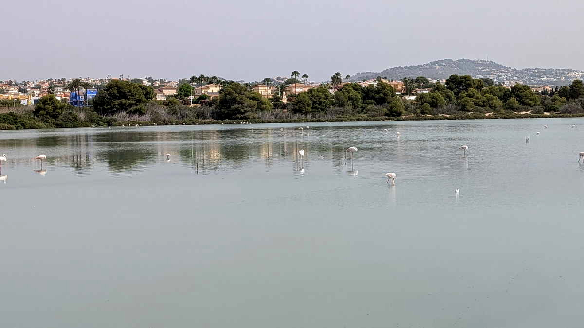 Calpe 23 Salinas